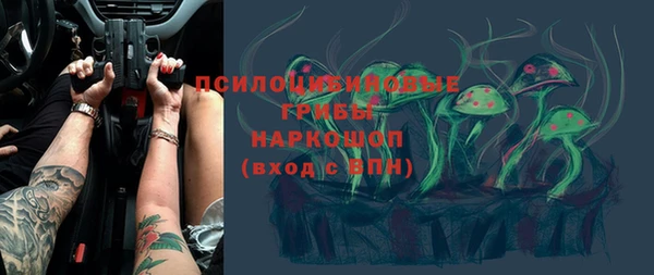 гашик Армянск