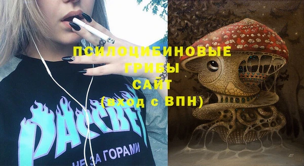 шишки Арсеньев