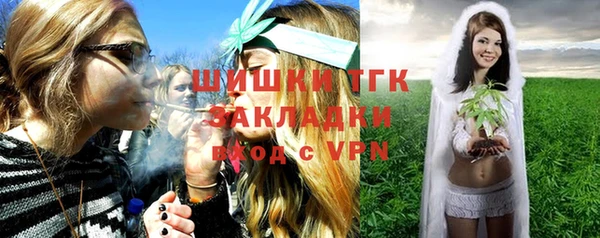 шишки Арсеньев