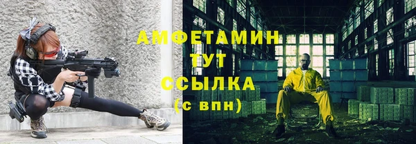 шишки Арсеньев