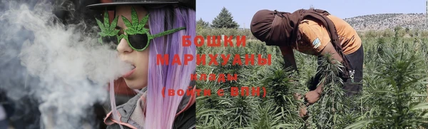 шишки Арсеньев