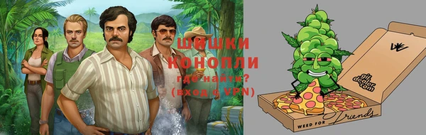 шишки Арсеньев