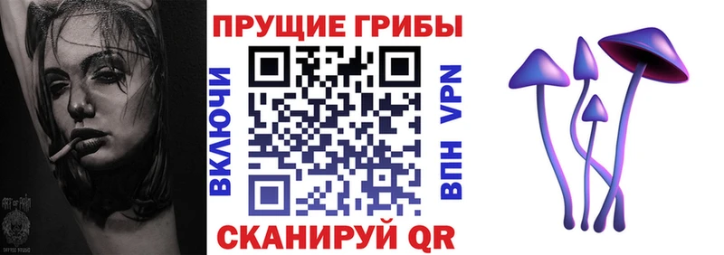Псилоцибиновые грибы мицелий Спасск-Дальний